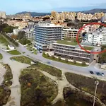 Kamelija