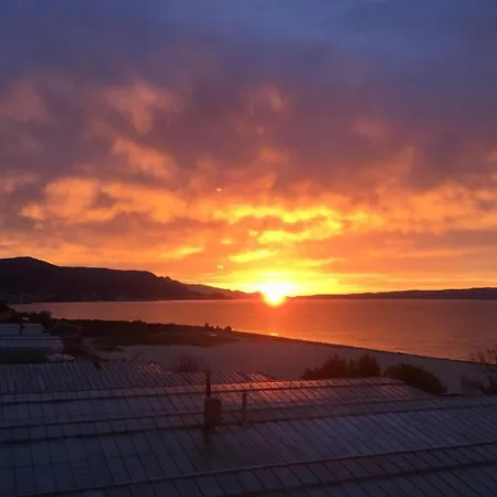 Kamelija * Split