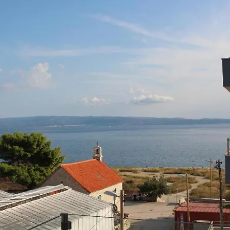 Kamelija
