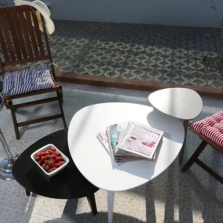 Apartmán Kamelija