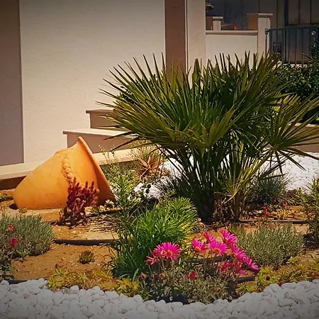 Apartmán Kamelija Split