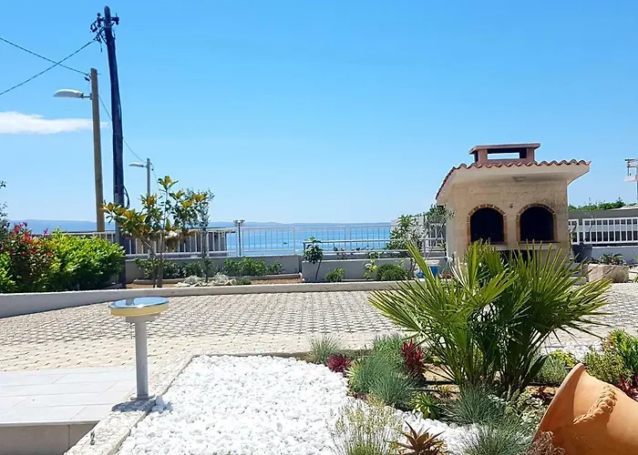 Kamelija *