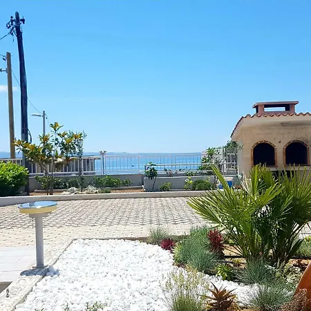 Kamelija *